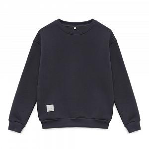CVS 005/017 (CVS 005/017 Свитшот жен. XL/графит)