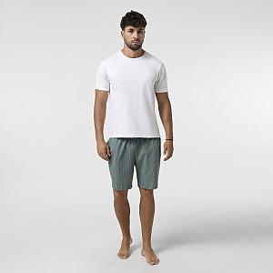 CHM 001/01 (CHM 001/01 Шорти дом. чол. M/зелений)