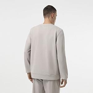 CMS 003/022 (CMS 003/022 Свитшот муж. S/св. серый)